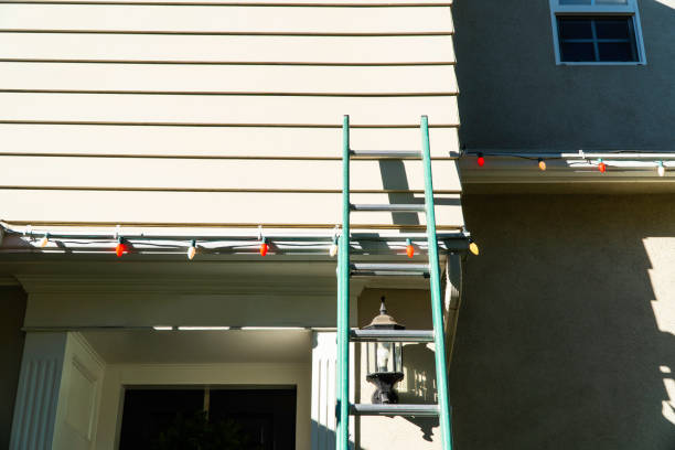 Best Custom Siding Design  in Nd Point, WI