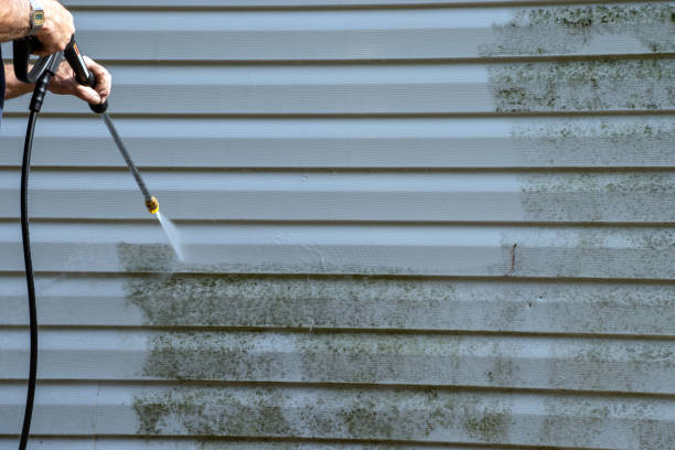 Affordable siding repair and maintenance services in Wind Point, WI