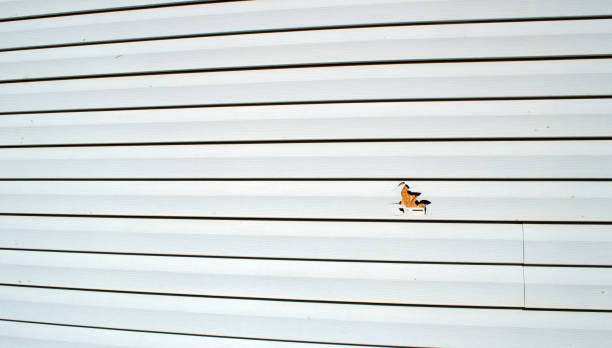 Best Fascia and Soffit Installation  in Nd Point, WI