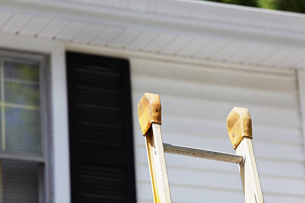 Best Insulated Siding Installation  in Nd Point, WI