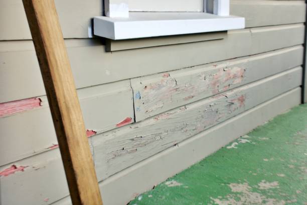 Best Siding Removal and Disposal  in Nd Point, WI