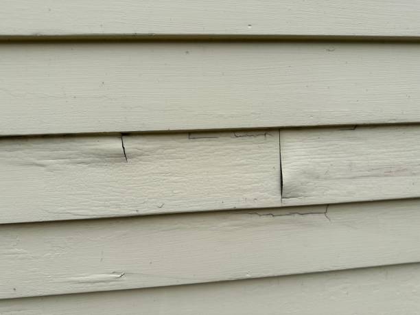 Best Steel Siding Installation  in Nd Point, WI